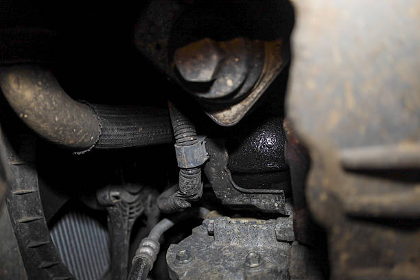 Halva käigukasti kinnituse sümptomid ja asenduskulud: täielik juhend autoomanikele